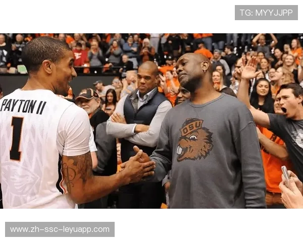 佩顿二代快攻自带视觉冲击